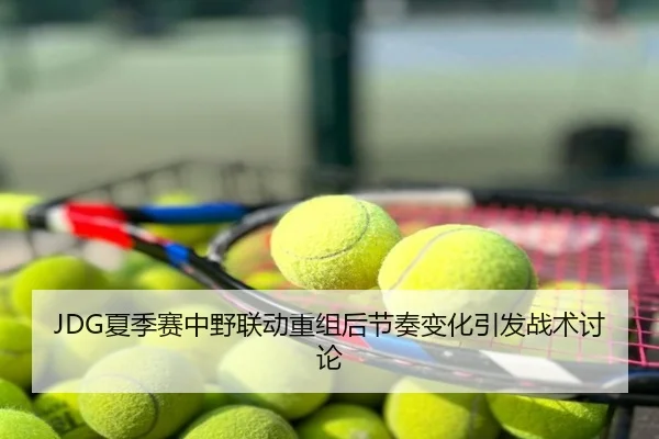 JDG夏季赛中野联动重组后节奏变化引发战术讨论