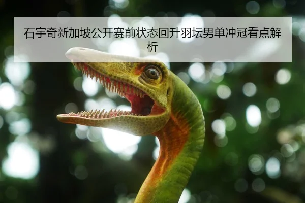 石宇奇新加坡公开赛前状态回升羽坛男单冲冠看点解析